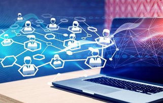 每日一淘系統(tǒng)軟件開發(fā)與廣告設(shè)計的融合發(fā)展