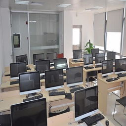 周口軟件開發公司名錄